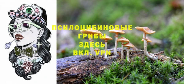 ALPHA PVP Аркадак
