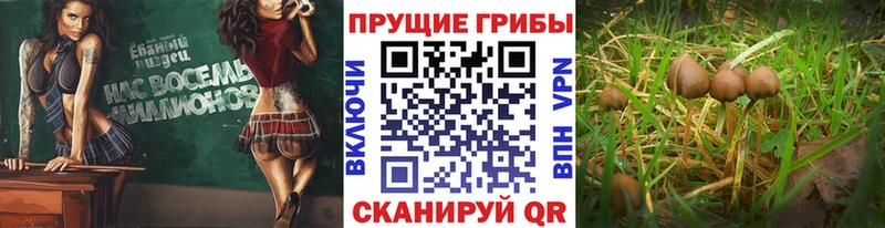 Галлюциногенные грибы мухоморы  Ржев 